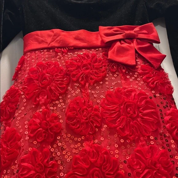 Bonnie Jean Dress Black Velvet Upper Red 3D Flowers Sequin Accents Size 16 - Picture 5 of 10